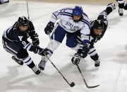 开云体育中国-跨界想象，当浙江队遇见公牛，约基奇式高光如何点亮篮球宇宙