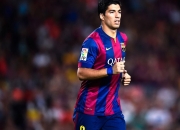 开云体育下载-美加墨世界杯焦点战，厄瓜多尔一波流战术如何彻底击溃沙特防线