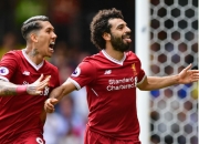 开云体育直播-布莱顿连胜，继续保持不败领先的简单介绍