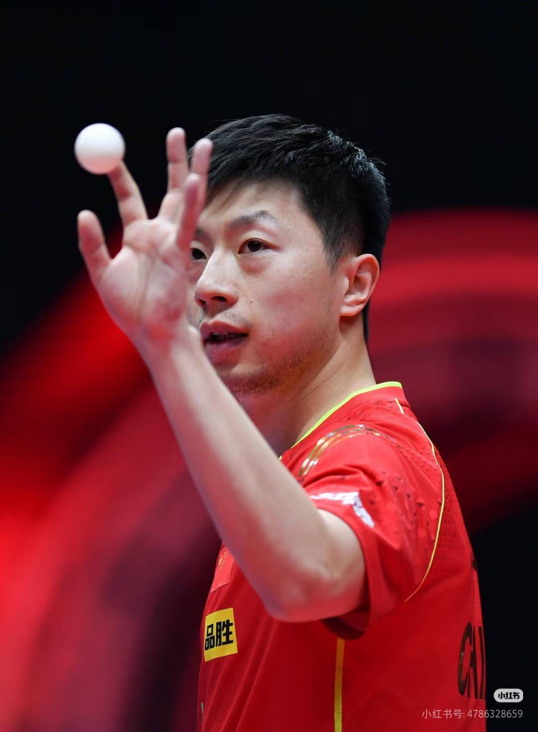 法国乒乓球队翻盘波兰乒乓球队,马龙惊艳世界的简单介绍 法国乒乓球队翻盘波兰乒乓球队,马龙惊艳世界的简单介绍