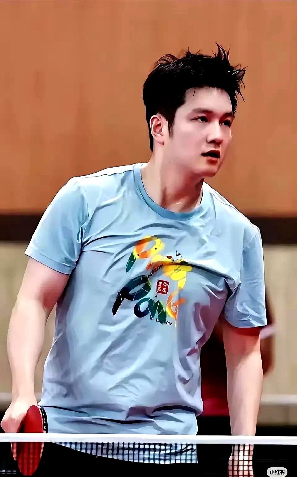 韩国队横扫日本队，樊振东统治全场