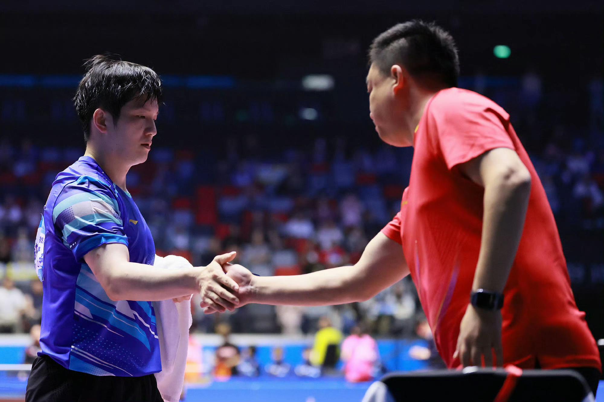 韩国队横扫日本队，樊振东统治全场