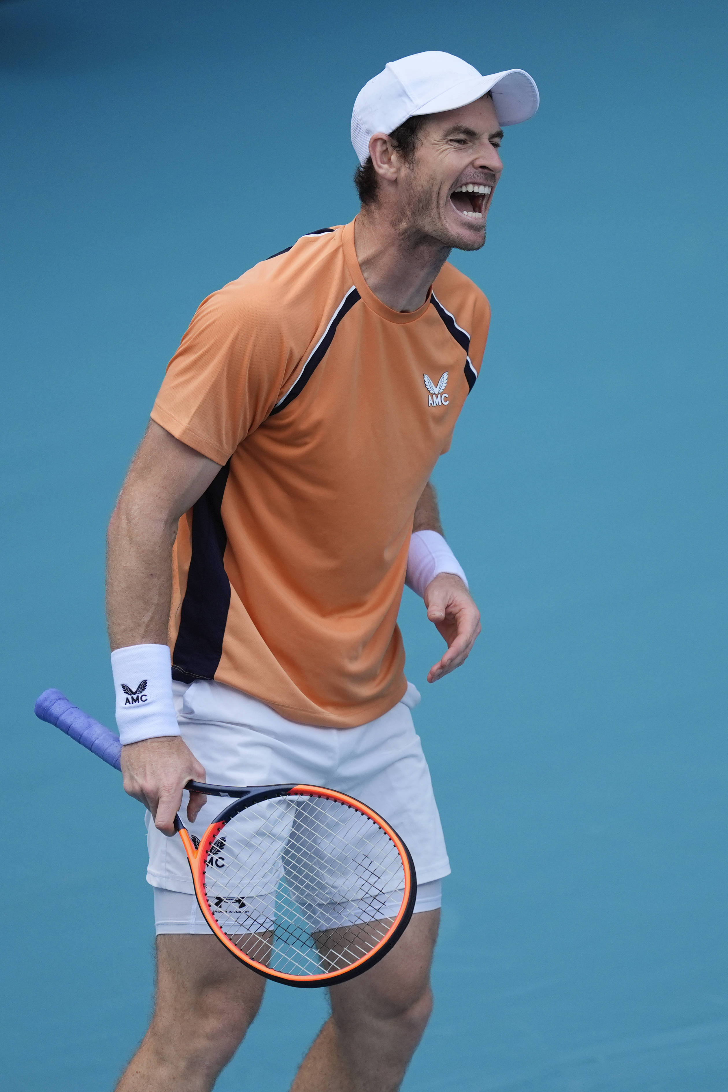 德国网球队绝地反击法国网球队，穆雷统治全场的简单介绍