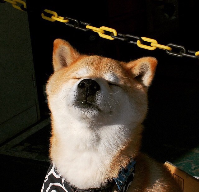 孤星闪耀凤凰城，欧文末节20分逆转乾坤，骑士加时险胜太阳